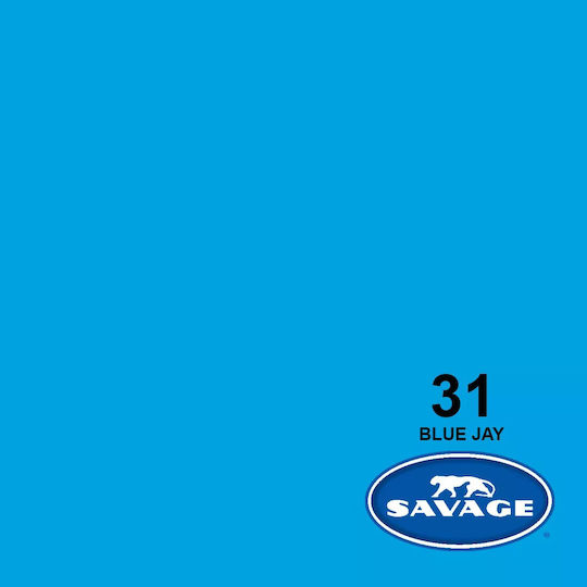 Savage 31-1253 Photography Backdrop Paper 135x1100cm Blue Jay