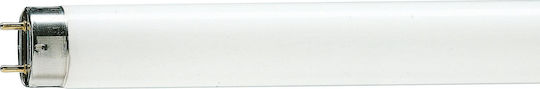 Philips SnoWWhite Fluorescent Lamp for Socket G13 with Shape T8 18W