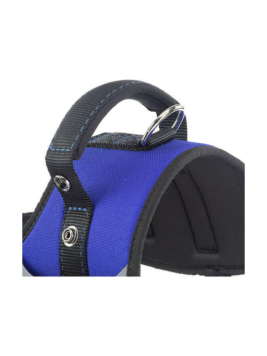 Ferplast Dog Harness Training Hercules P Blue Small 25mm x 59-70cm 75468325