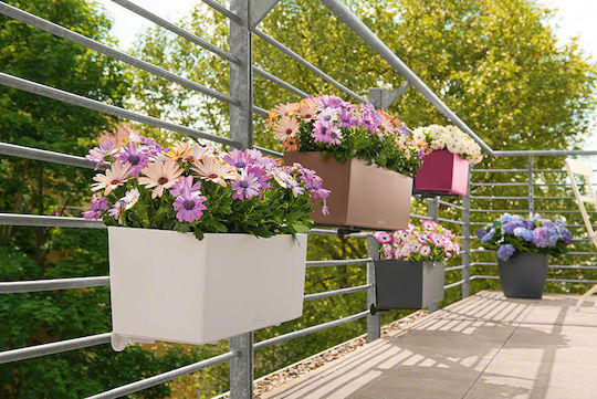 Lechuza Balconera Selbstbewässernd Blumenkasten Kunststoff Weiß 50x19x19cm.