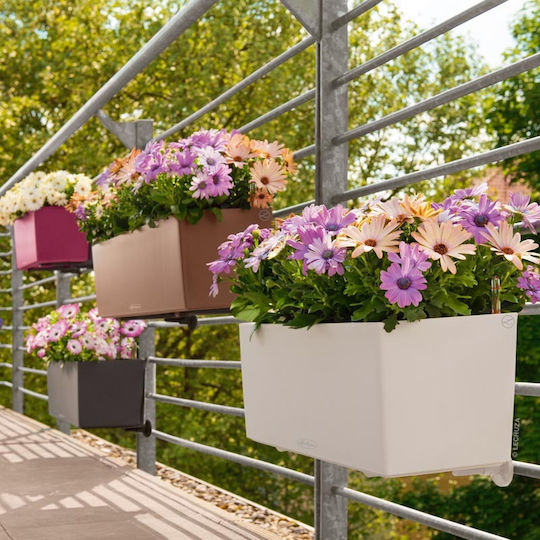 Lechuza Balconera Selbstbewässernd Blumenkasten Kunststoff Weiß 50x19x19cm.