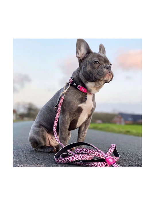 Max & Molly Leopard Pink Κολάρο Σκύλου σε Ροζ χρώμα Περιλαίμιο Extra Small 1x22-35cm 10mm x 22 - 35cm