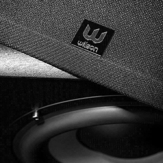 Wilson SUB 9 SUB-9 Αυτοενισχυόμενο Subwoofer με Ηχείο 8" 150W Μαύρο