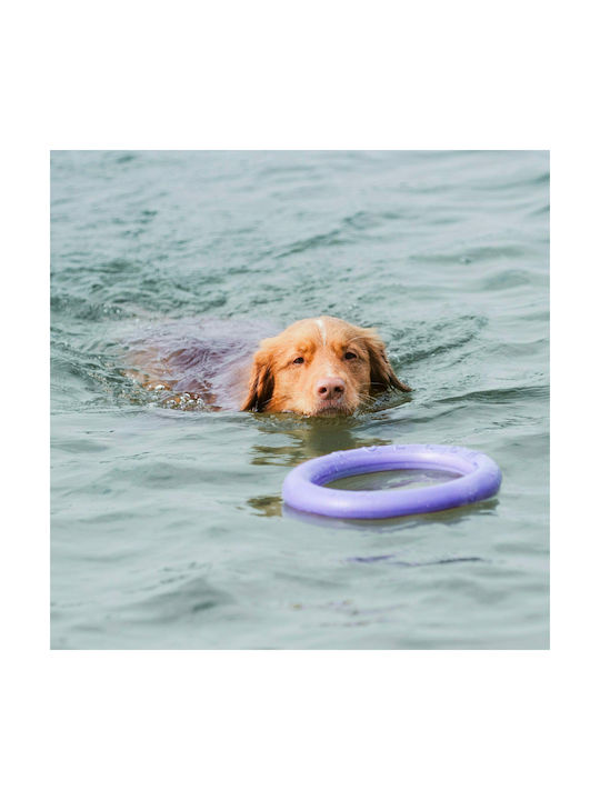 Puller Frisbee Hundespielzeug Mittel 28cm Lila 2Stücke