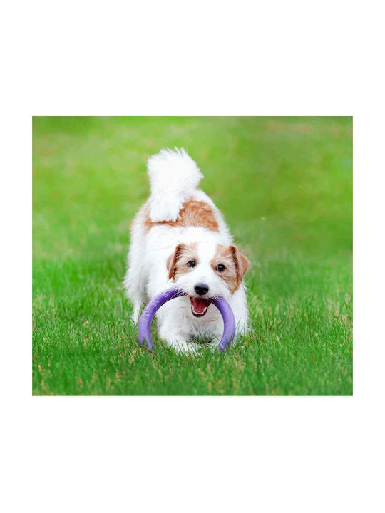 WauDog Puller Frisbee Σκύλου 12.5εκ. Μωβ