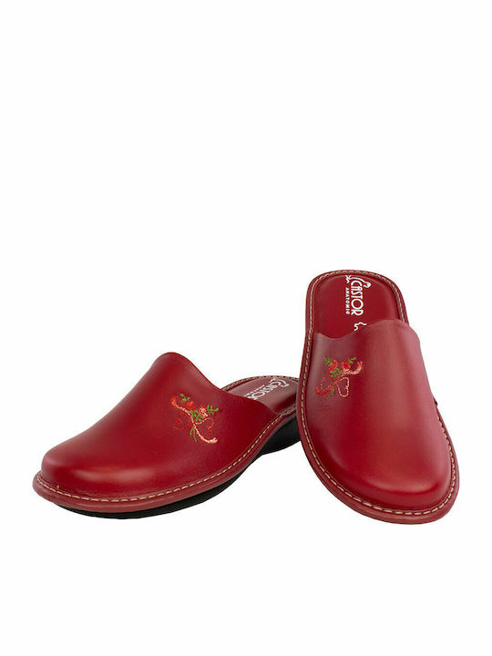 Castor Anatomic 3706 Leather Women's Slipper In Red Colour