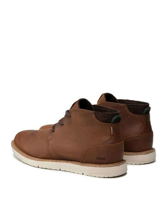 Toms