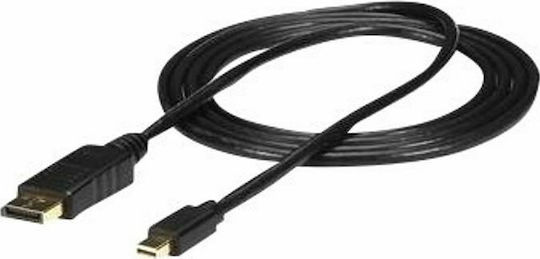 StarTech Cable DisplayPort male - mini DisplayPort male 3.05m Black (MDP2DPMM10)