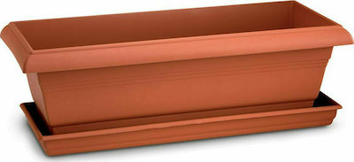 Plastona Festone Rectangular Plate Planter Brown 55x20cm