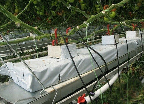 Palaplast Hydroponics Tube Ø5mm 500m 3080/0505