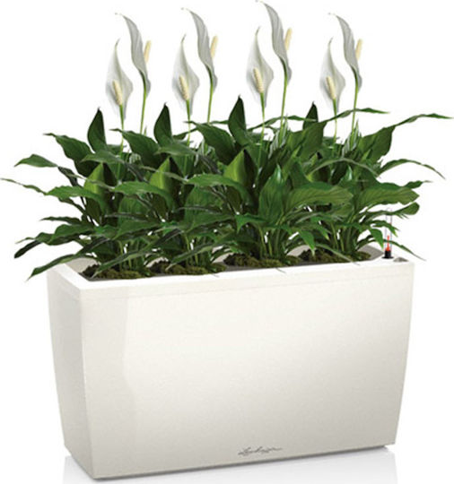 Lechuza Cararo Premium Self-watering Planter Box Plastic White 75x30x42.5cm.