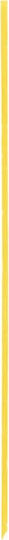 Shiseido Microliner Ink Gel 06 Yellow