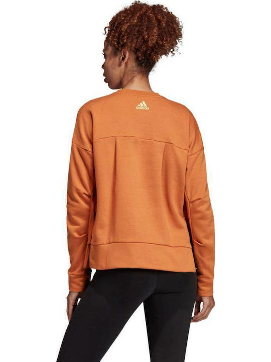 adidas adidas