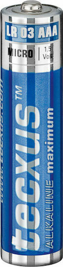 Tecxus Maximum Αλκαλικές Μπαταρίες AAA 1.5V 24τμχ