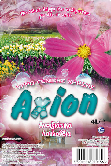 Axion mit Frühlingsblumenduft Frühlingsblumen Frühlingsblumen 1x4l AX-GU-4LT/FL