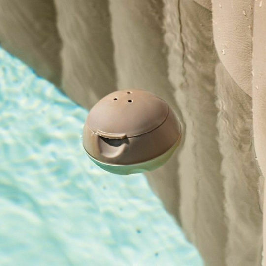 Intex Swimming Pool Chlorine Floater