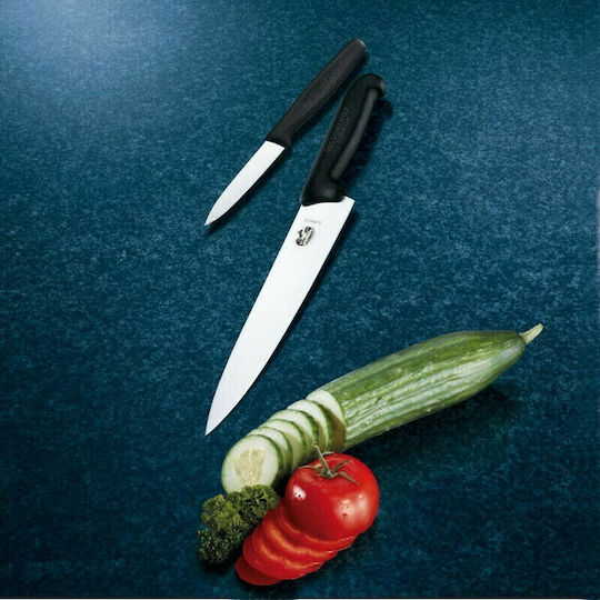 Victorinox Fibrox Μαχαίρι Κρέατος από Ανοξείδωτο Ατσάλι 22cm