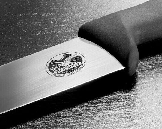 Victorinox Fibrox Messer Fleisch aus rostfreiem Stahl 26cm
