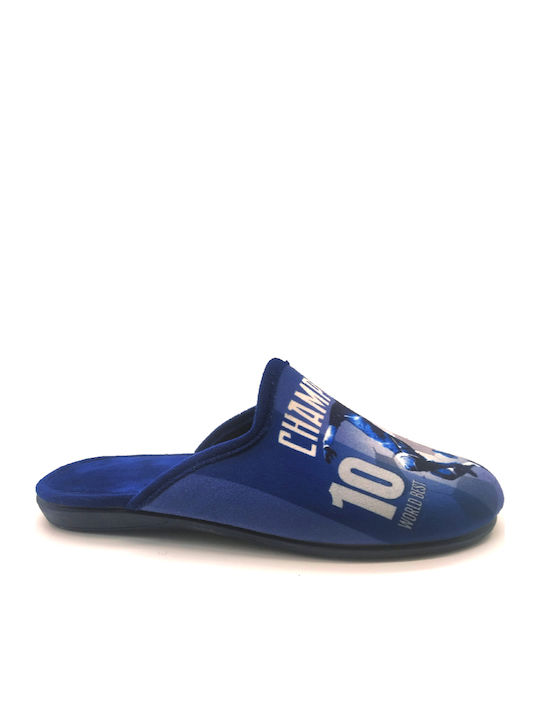 Blue Slippers