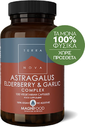 TerraNova Astragalus Elderberry & Garlic Συμπλήρωμα για την Ενίσχυση του Ανοσοποιητικού 50 φυτικές κάψουλες