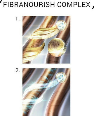 System Professional Fibra LuxeOil Protect L1 Σαμπουάν Αναδόμησης/Θρέψης για Ταλαιπωρημένα Μαλλιά 250ml