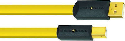 Wireworld USB 2.0 Kabel USB-A-Stecker - USB-B-Stecker Gold 3m