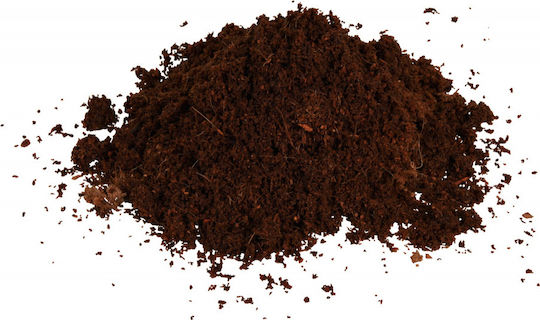Trixie Substrate for Reptiles Terrarium