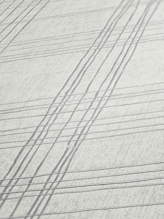 Wall Wallpaper Carrot Vinyl Gray 1005x53cm Washable