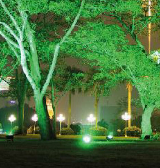 Aca Waterproof LED Floodlight 10W Green IP66