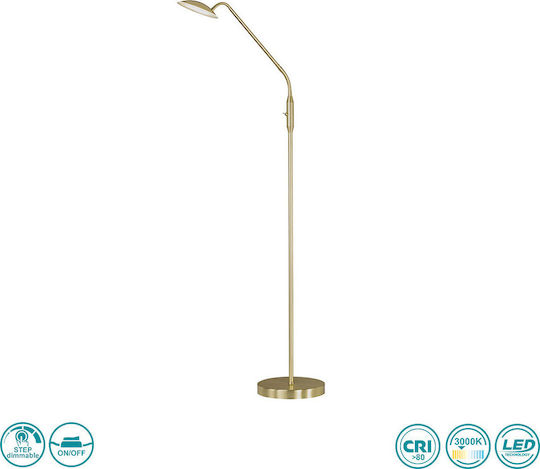 Wofi Orta Lampa de podea LED Î135xL23cm. cu Lumină Alb Cald 800lm Auriu