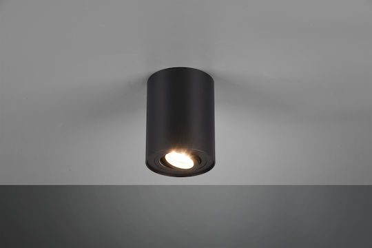 Trio Lighting 61290 Trio Lighting 61290