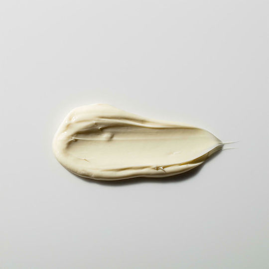 Antipodes Rejoice Light Facial Moisturiser Light Ενυδατική Κρέμα Προσώπου Ημέρας 60ml
