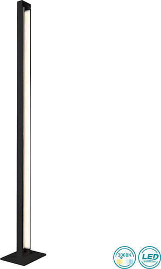 Viokef Tiffany LED Stehlampe H161cm. Schwarz