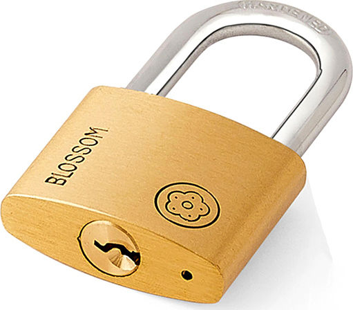 Blossom BC90 ΒΤ Stahl Vorhängeschloss Messing mit Schlüssel 60mm 1Stück