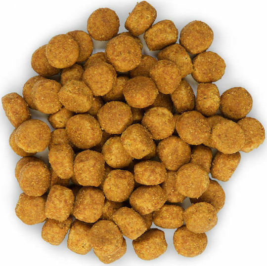 Hill's Science Plan Dog Adult Medium 2.5kg Dry Food for Adult Medium Breed Dogs with Chicken