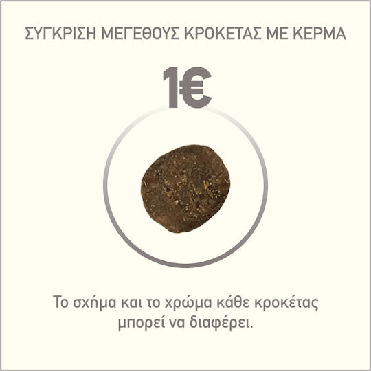 Orijen Regional Red 2kg Ξηρά Τροφή Σκύλων χωρίς Σιτηρά με Αρνί, Βίσωνα και Μοσχάρι