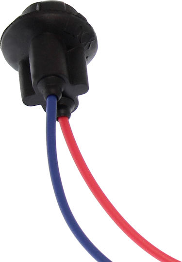 Car Bulb Holder T10
