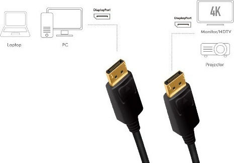 LogiLink Cable DisplayPort male - DisplayPort male 1m Black (CD0100)