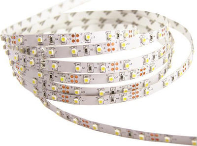 Eurolamp Bandă LED Alimentare 24V cu Lumină Alb Cald Lungime 5m și 60 LED-uri pe Metru SMD5050