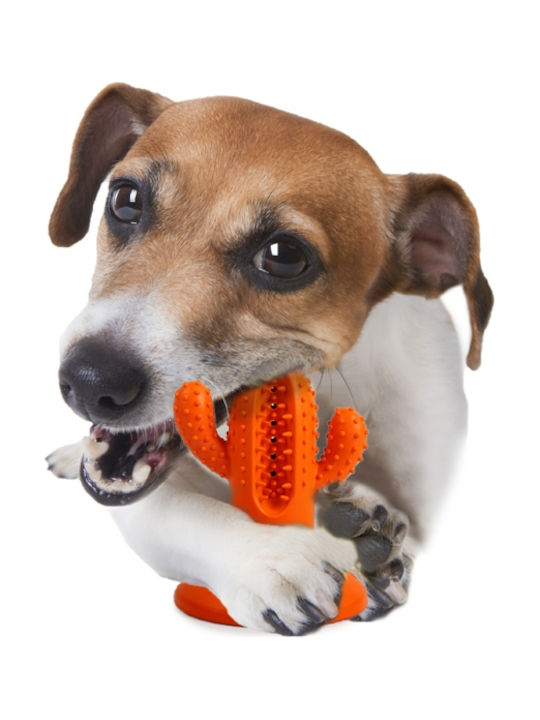 All For Paws Cactus Игра Куче от Каучук Medium 12.3εκ. Оранжев 1бр