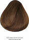 Bioshev Professional Hair Color Cream 6.3 Ξανθό...