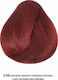 Bioshev Professional Hair Color Cream 5.66 Καστ...