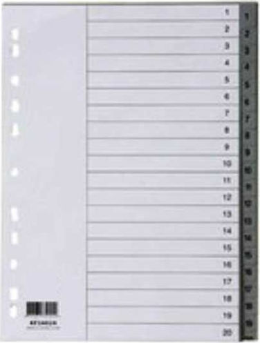 Metron Plastic Dividers for Documents A4 with Holes 20pcs