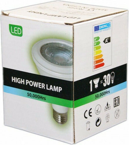 LED Bulb 12W for Socket E27 Cool White 1080lm