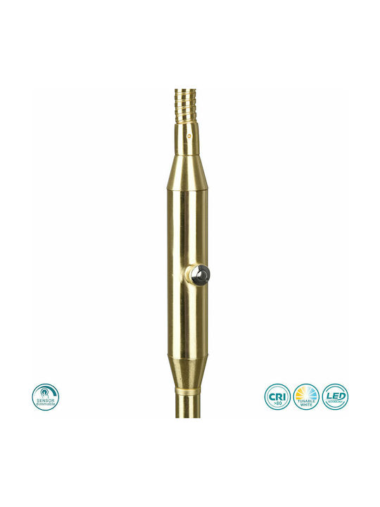 Trio Lighting Monza LED Floor Lamp H145xW25cm. with Warm White Light 1400lm Gold