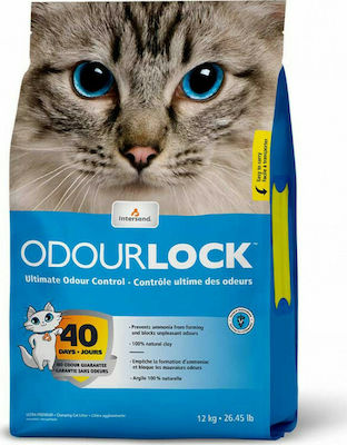 Intersand Odourlock Clumping Odour Control Cat Litter 6kg