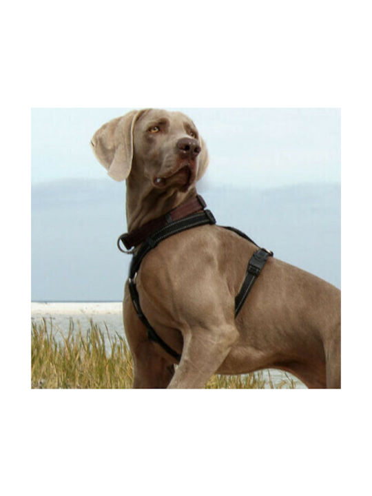 Rogz Dog Harness Utility Classic 45-75cm x 20mm (Orange) Orange Large RGSJ06D
