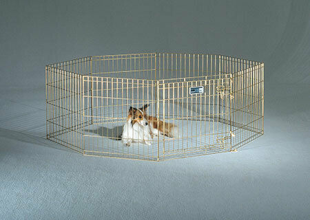 Midwest Foldable Park Dog Octagon Without Bottom 61x61 cm. made of Metal in Gold Color 61 x 61cm 5sq.m.
