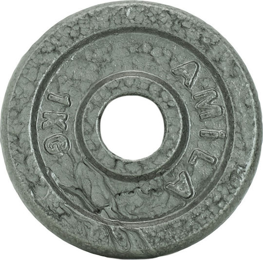 AMILA Set of Plates Metal 1 x 1kg Ø28mm