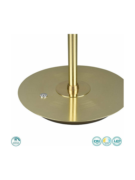 Trio Lighting Monza LED Office Lamp with Flexible Arm in Gold Color